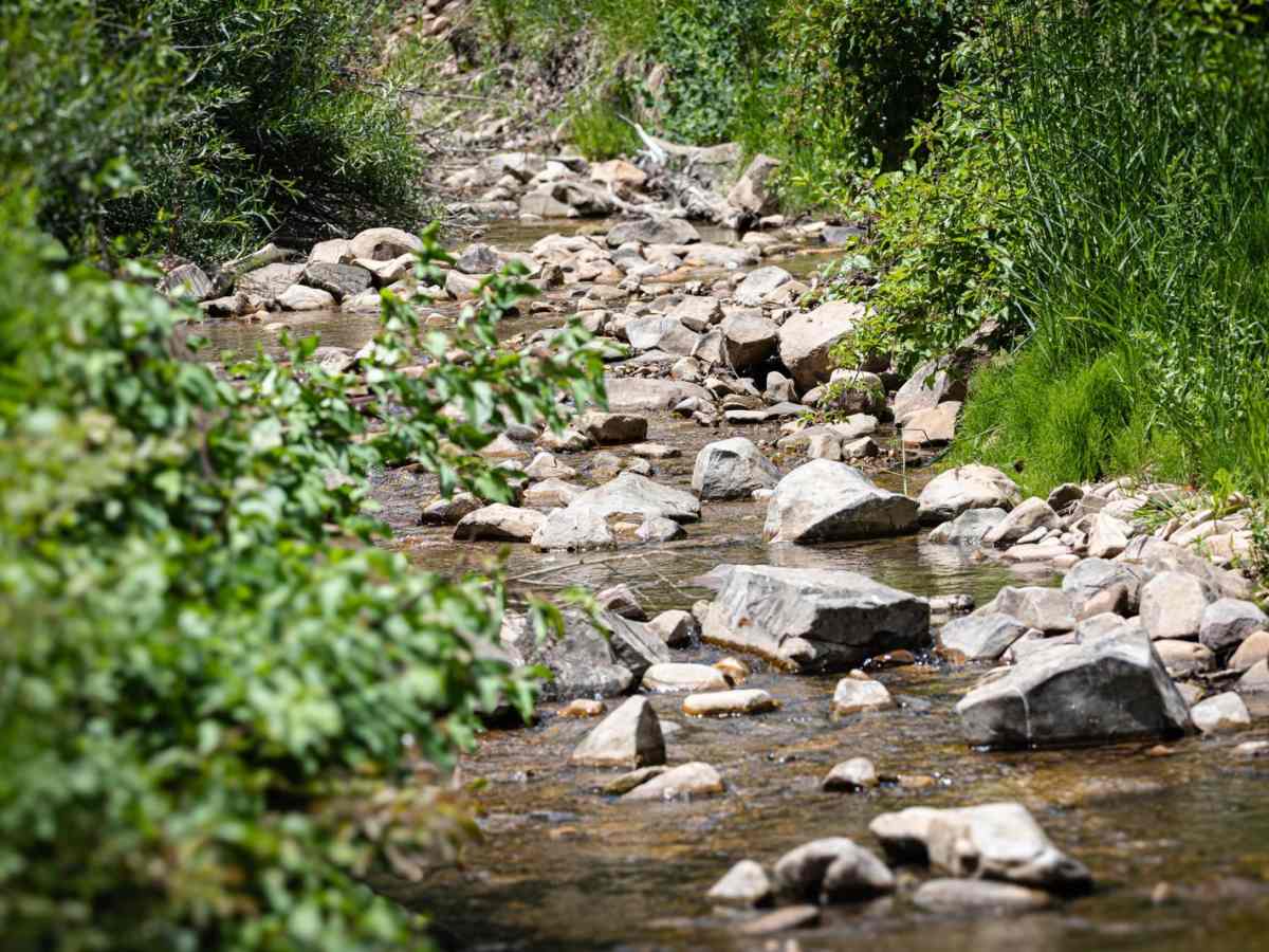 Little Valley - FR 70121 photo 3