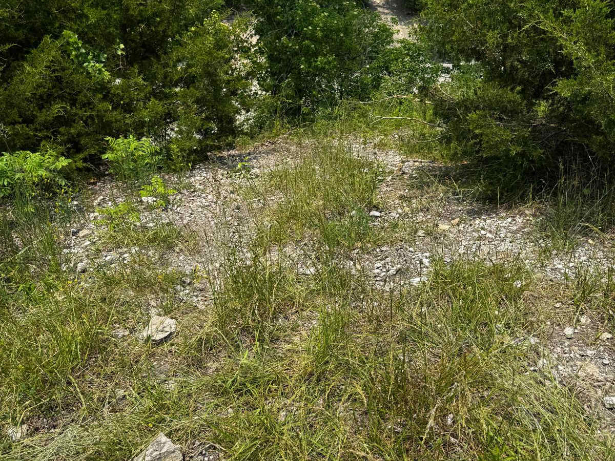 Yee Haw Ledges 111 trail photo