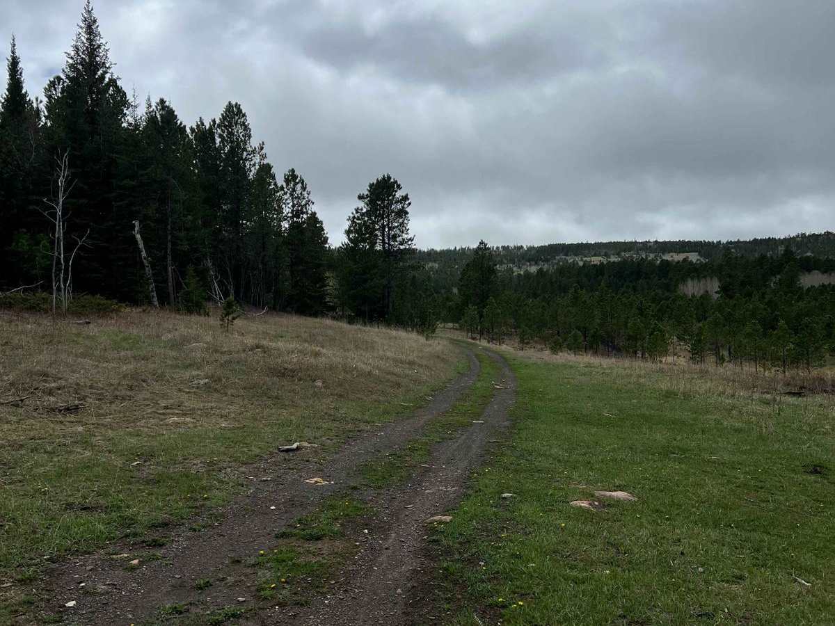 Boulder Scenic Cut Through photo 6