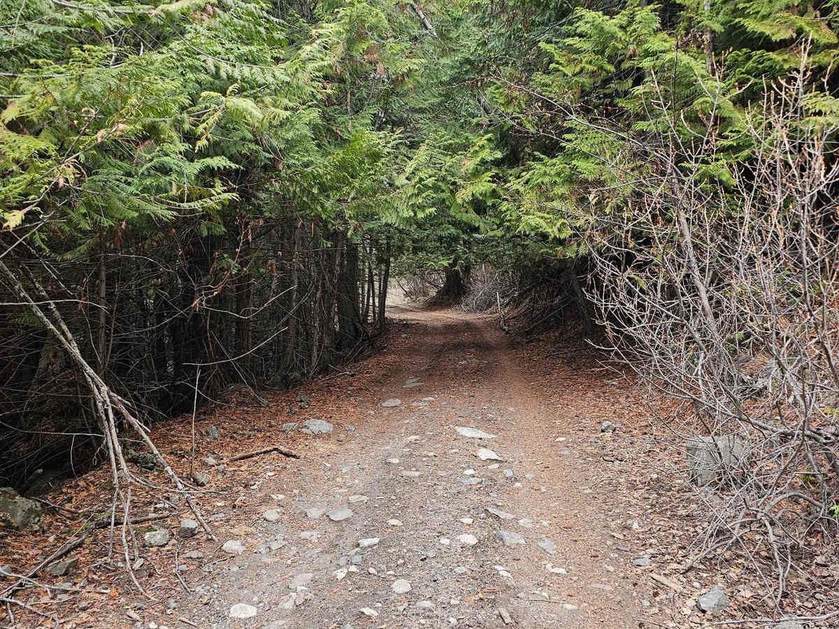 Upper French Mine photo 6