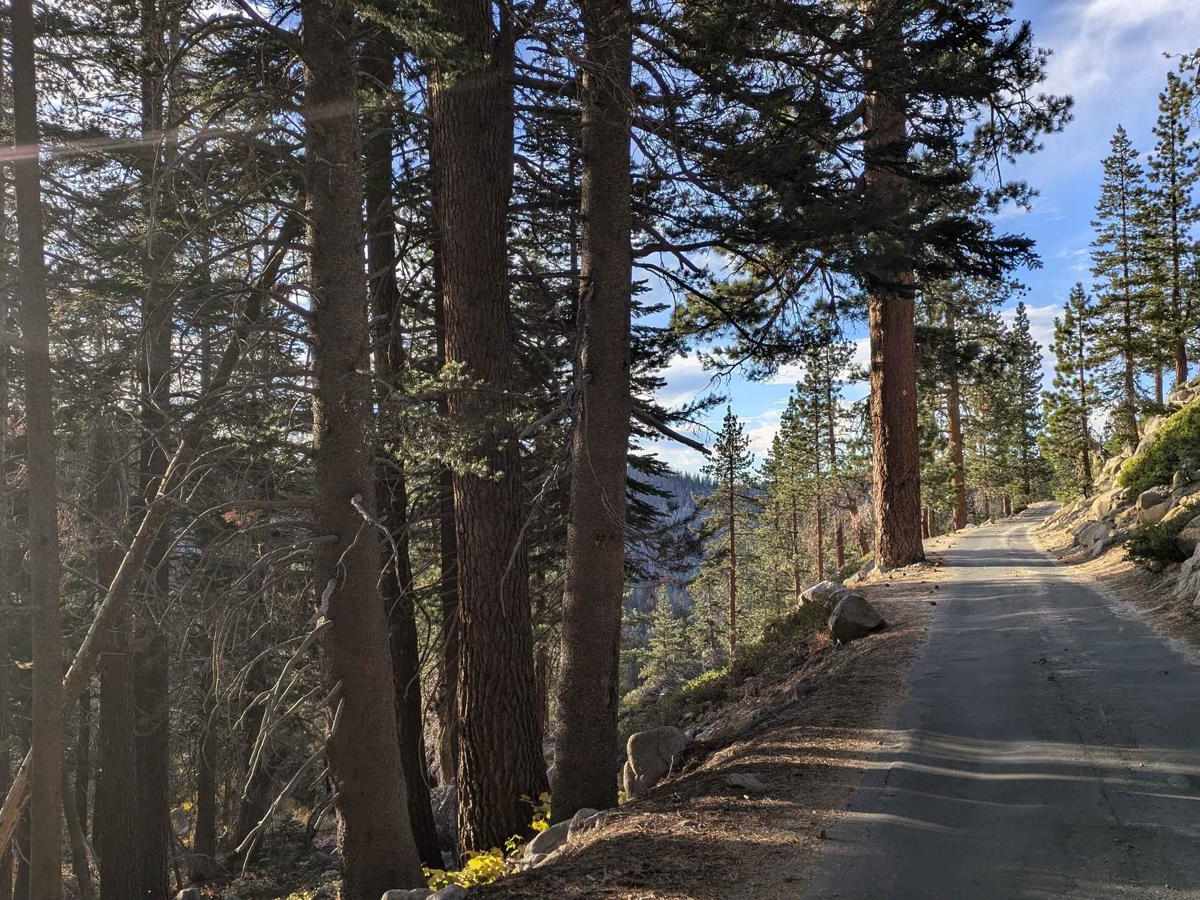 Kaiser Pass Road photo 3