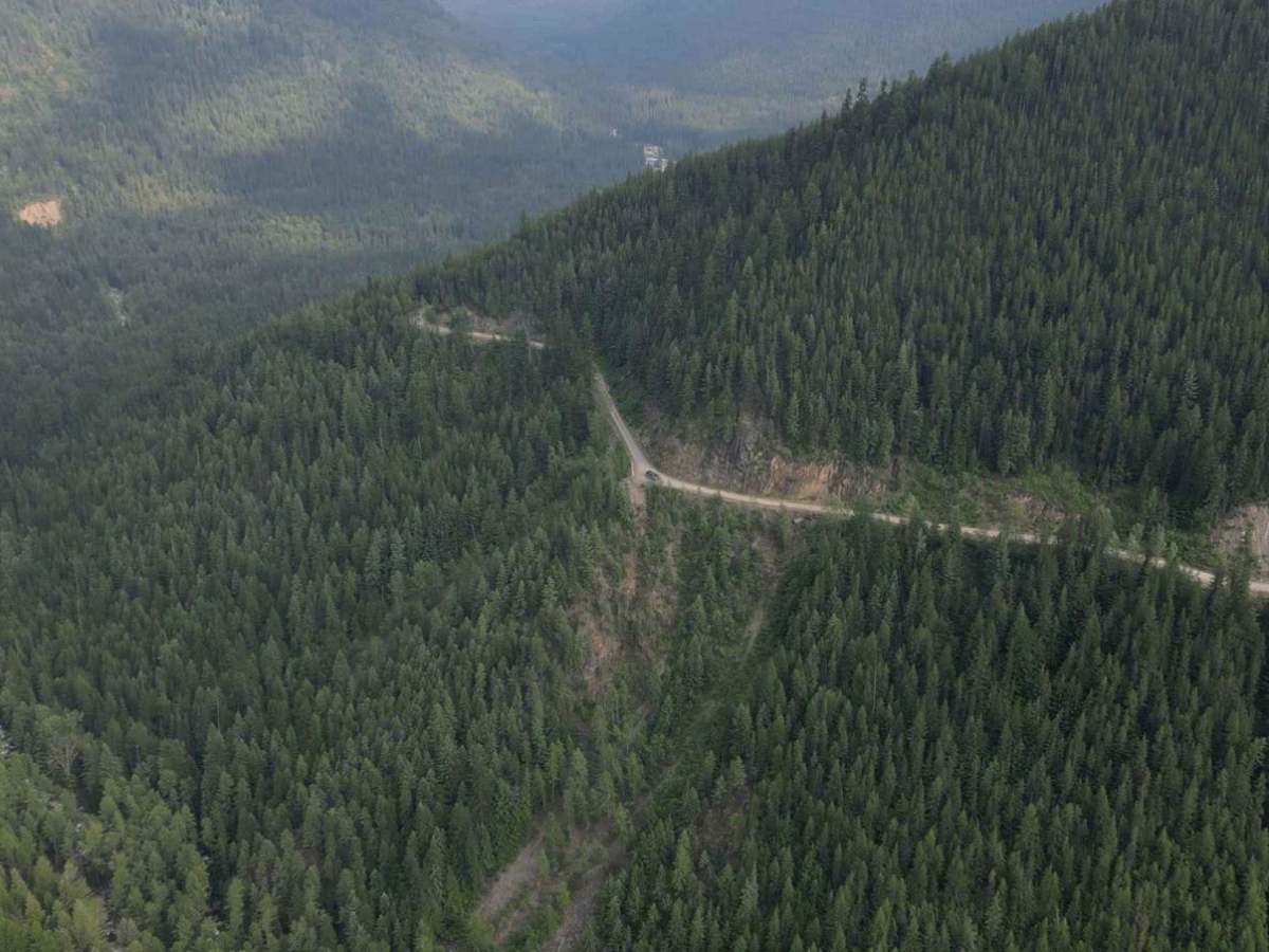 Skelly Creek FSR trail photo