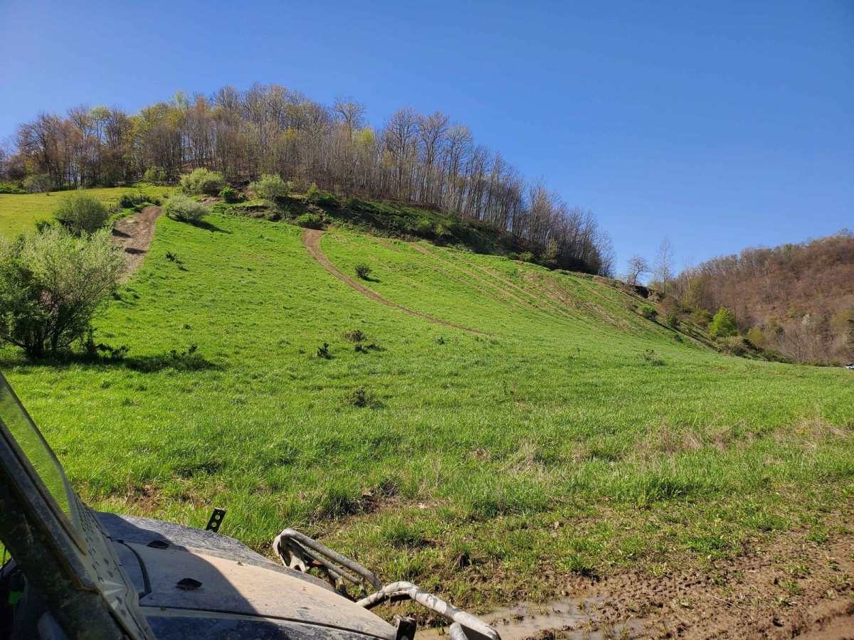 19 photo 4