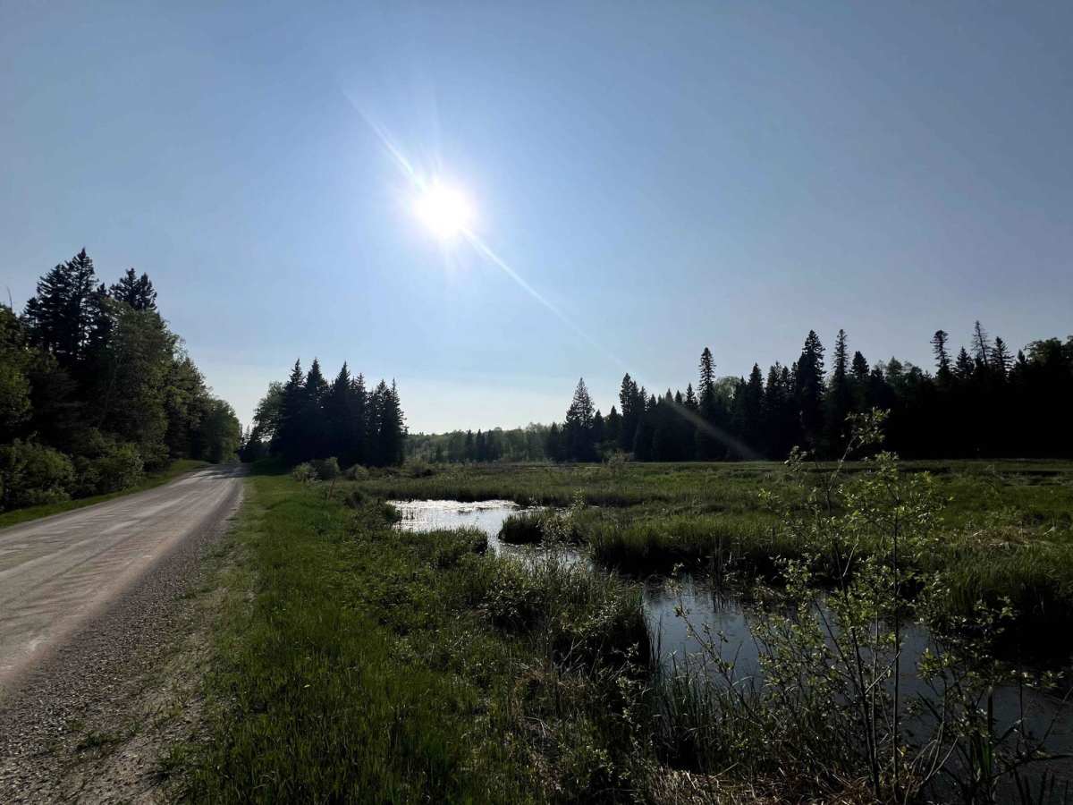Lake Audy Road photo 4