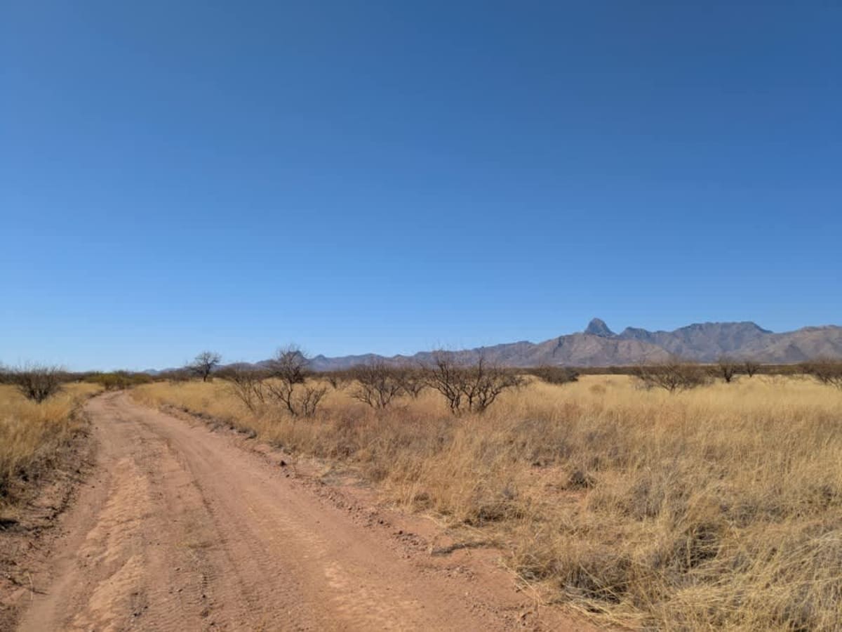Secundino Trail Loop photo 6