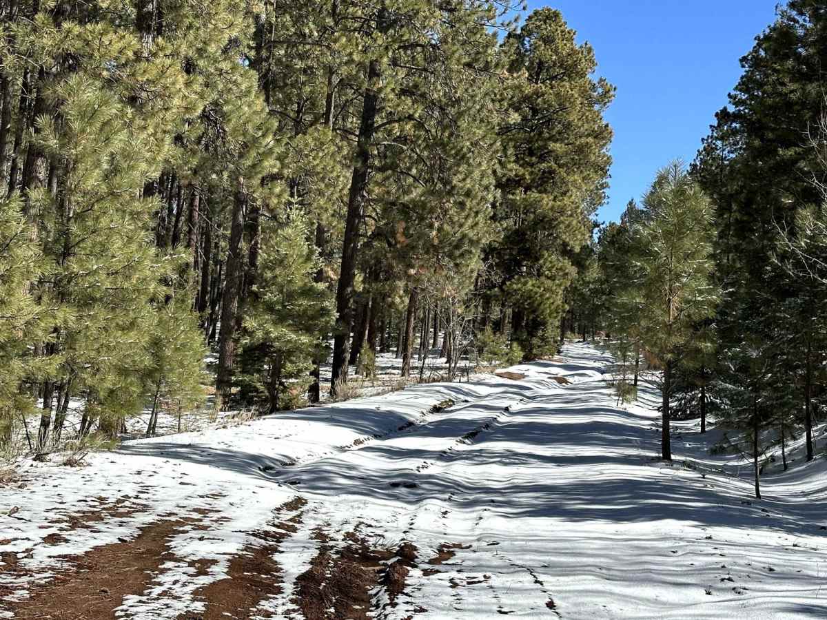 Pinabetosa Water Break trail photo