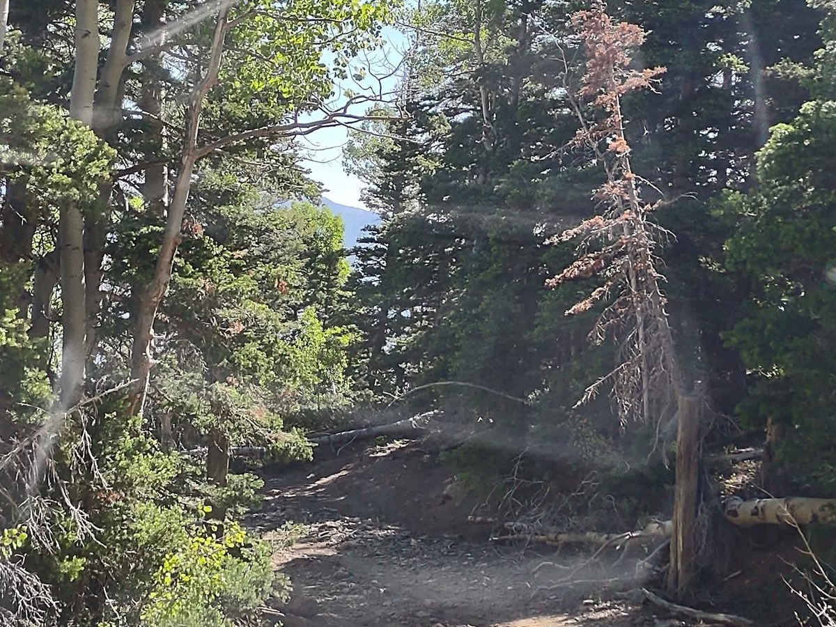 Hennessy Point photo 2