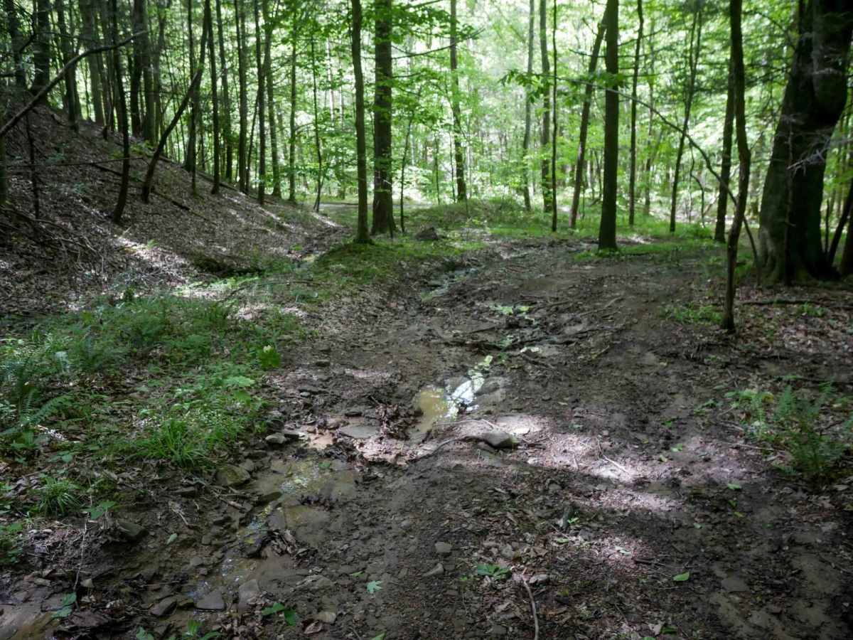 RV33 photo 4