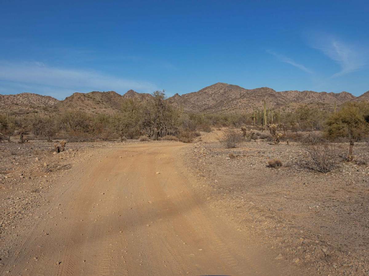 Saguaro Power photo 5