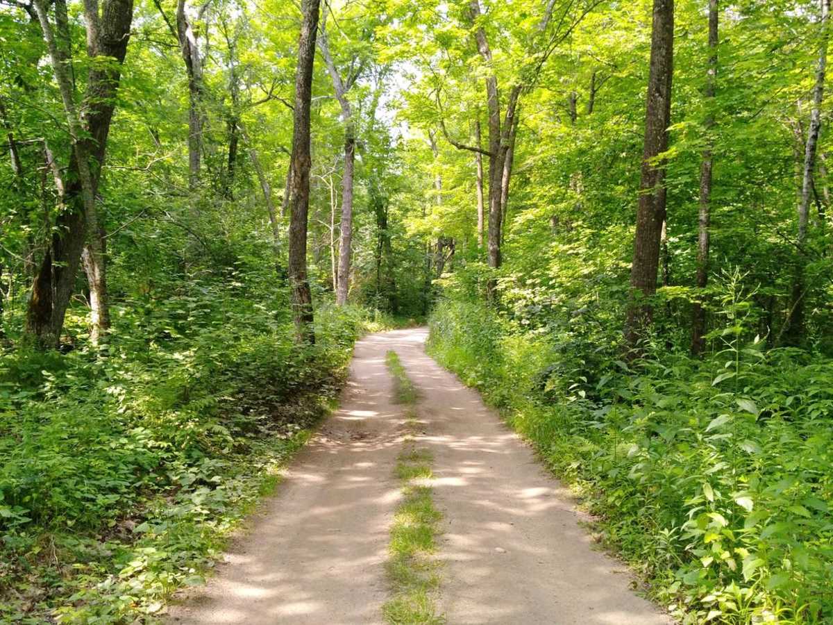 Blind Lake Connector Trail - South 68 photo 5