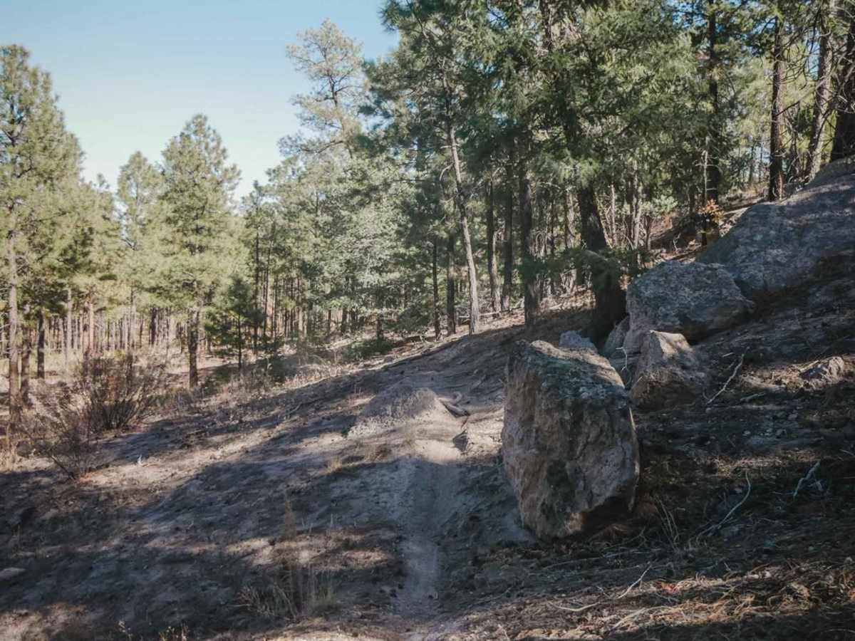Corral Canyon photo 4