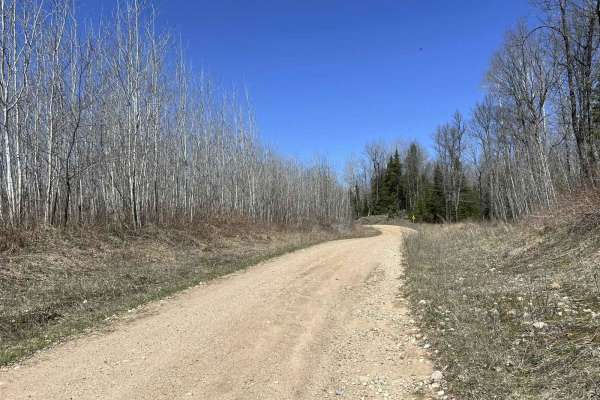 Black Creek Trail/ FR N3015
