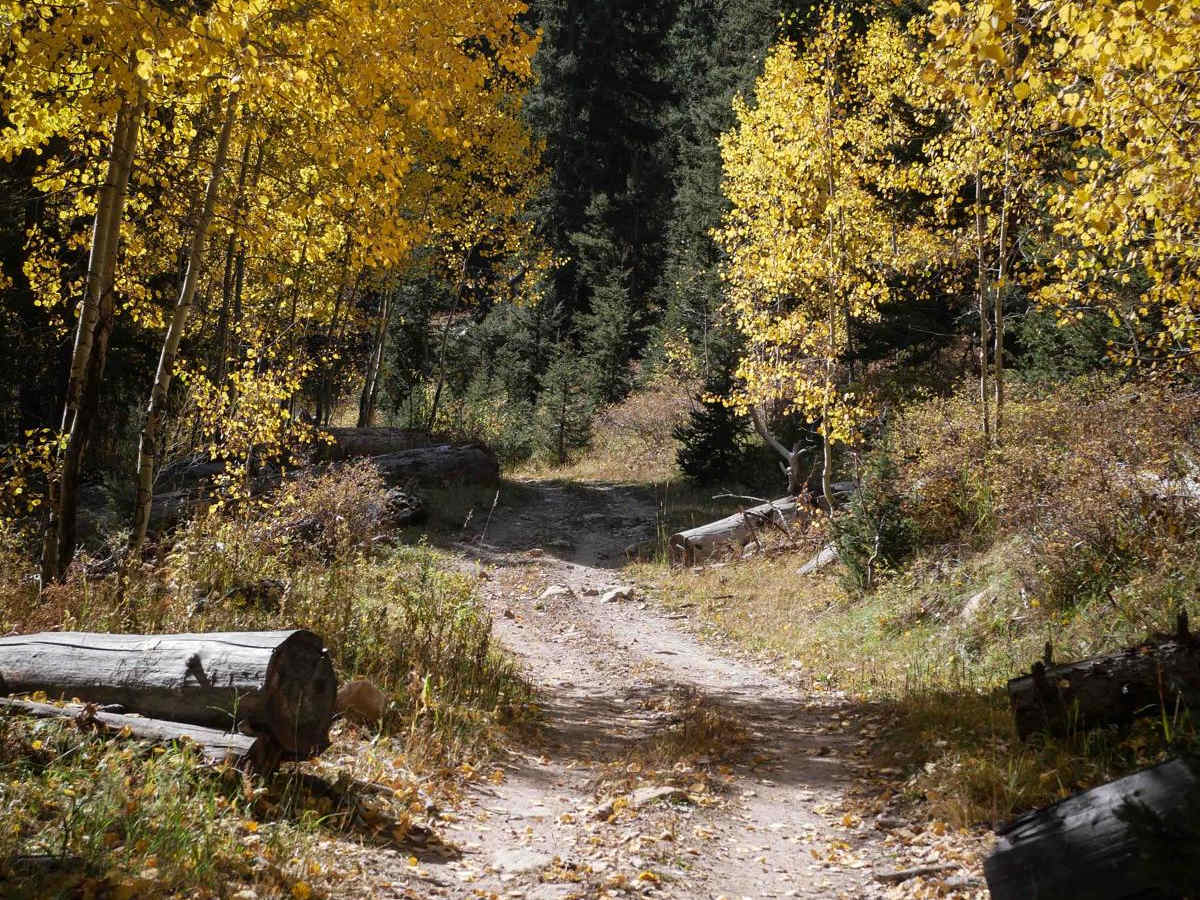 Devil Mountain trail photo