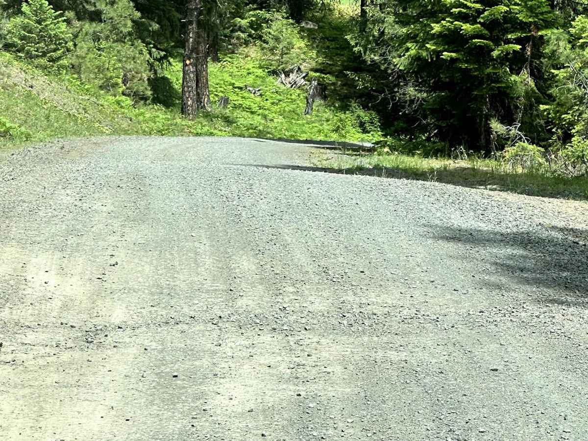 Quartz Creek Road photo 2