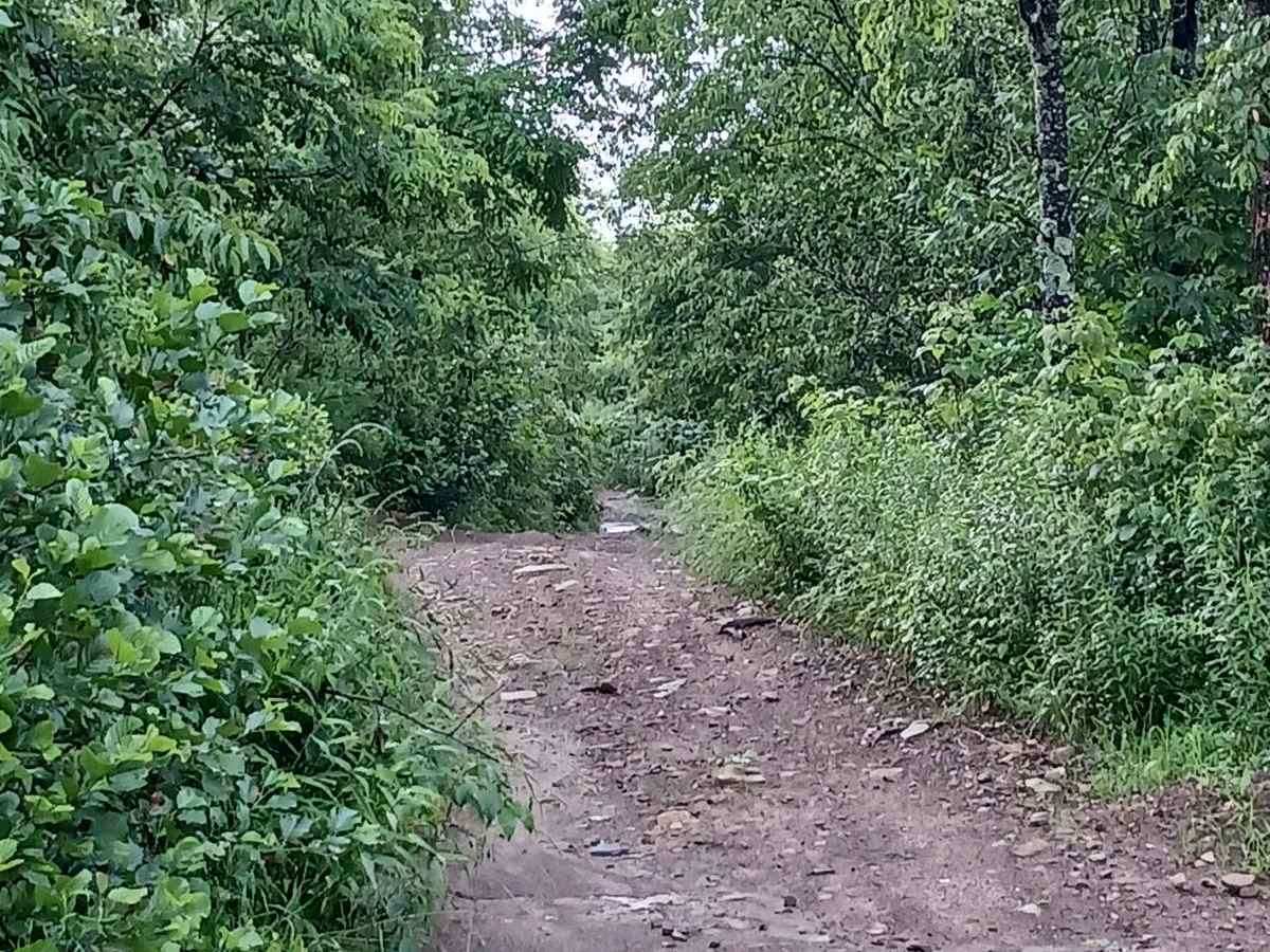 Trail 11K - Rock Run Recreation Area photo 3