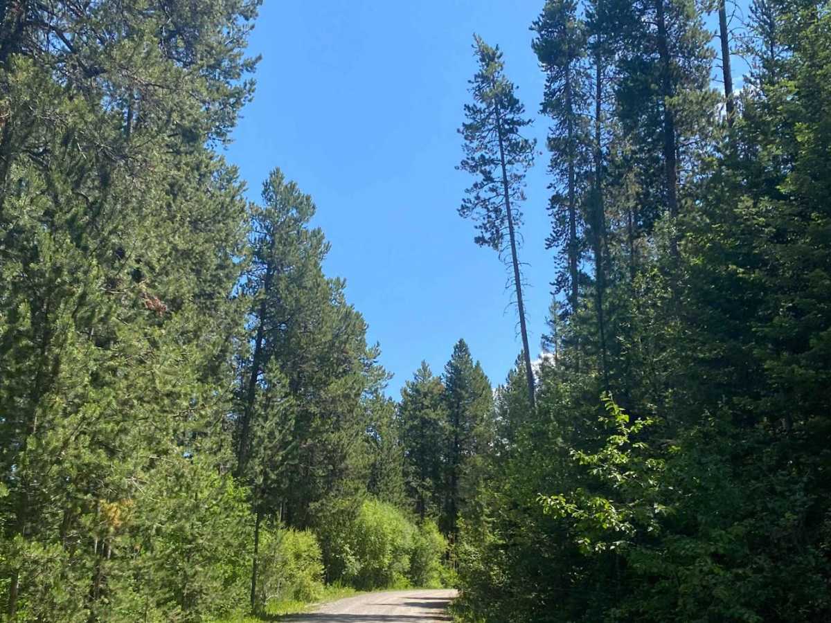 Goose Creek Trailhead photo 2