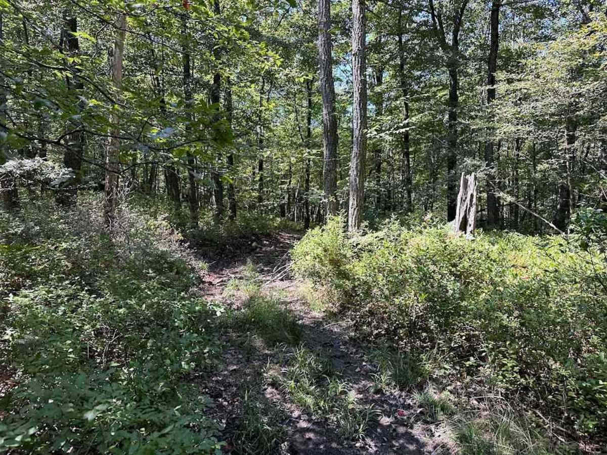 Red Single Track - A photo 4