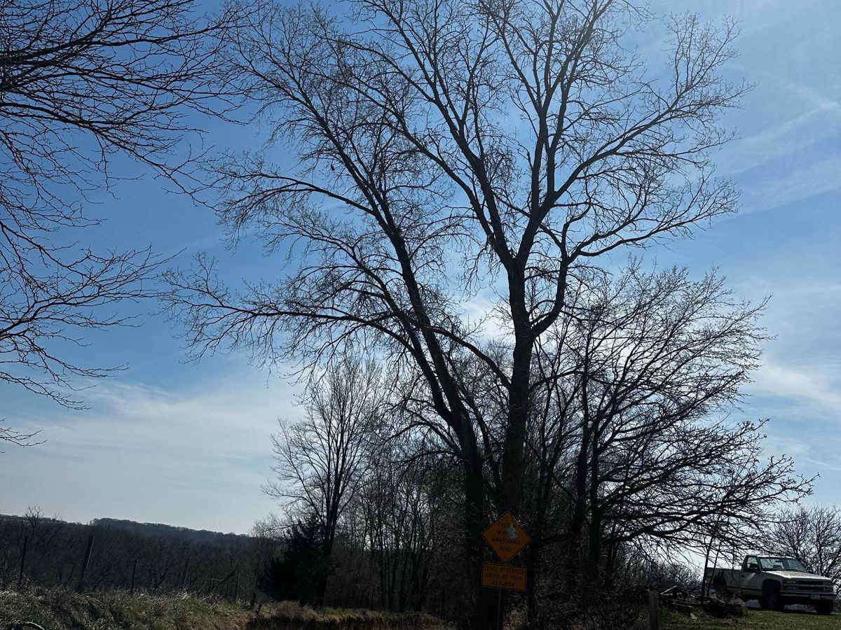 Waubonsie Creek Trail - Pathfield Road photo 3
