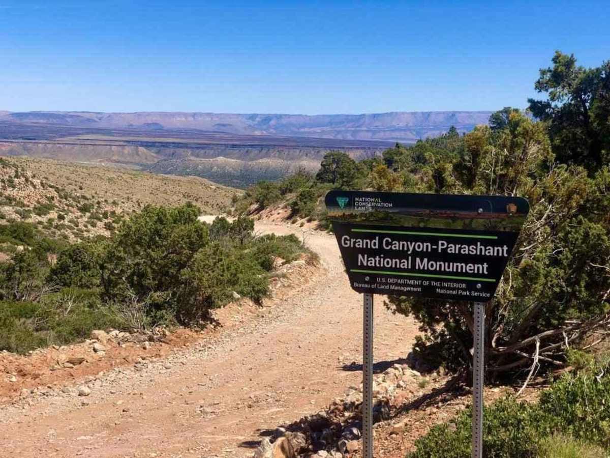 Snap Point Road BLM 1012 trail photo