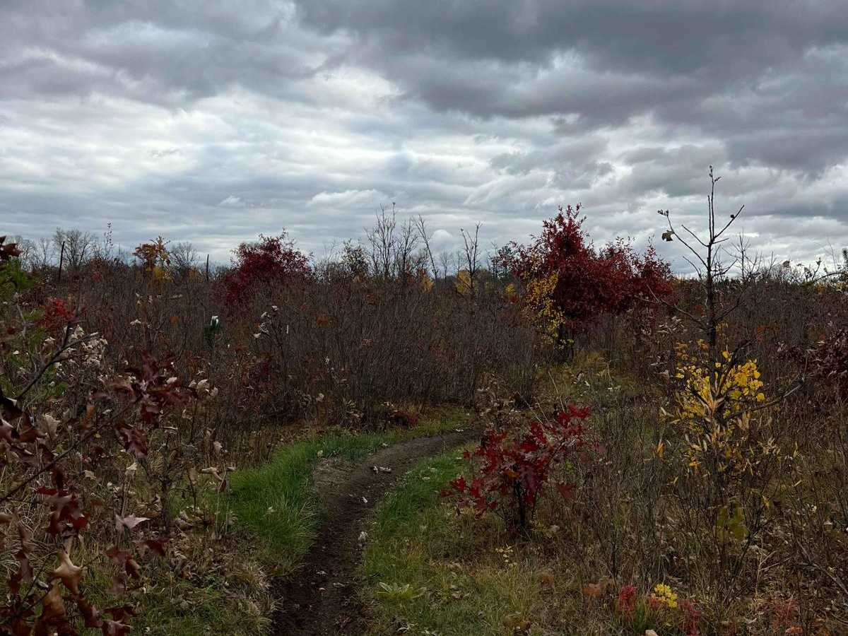 Circle Farm Trail photo 4