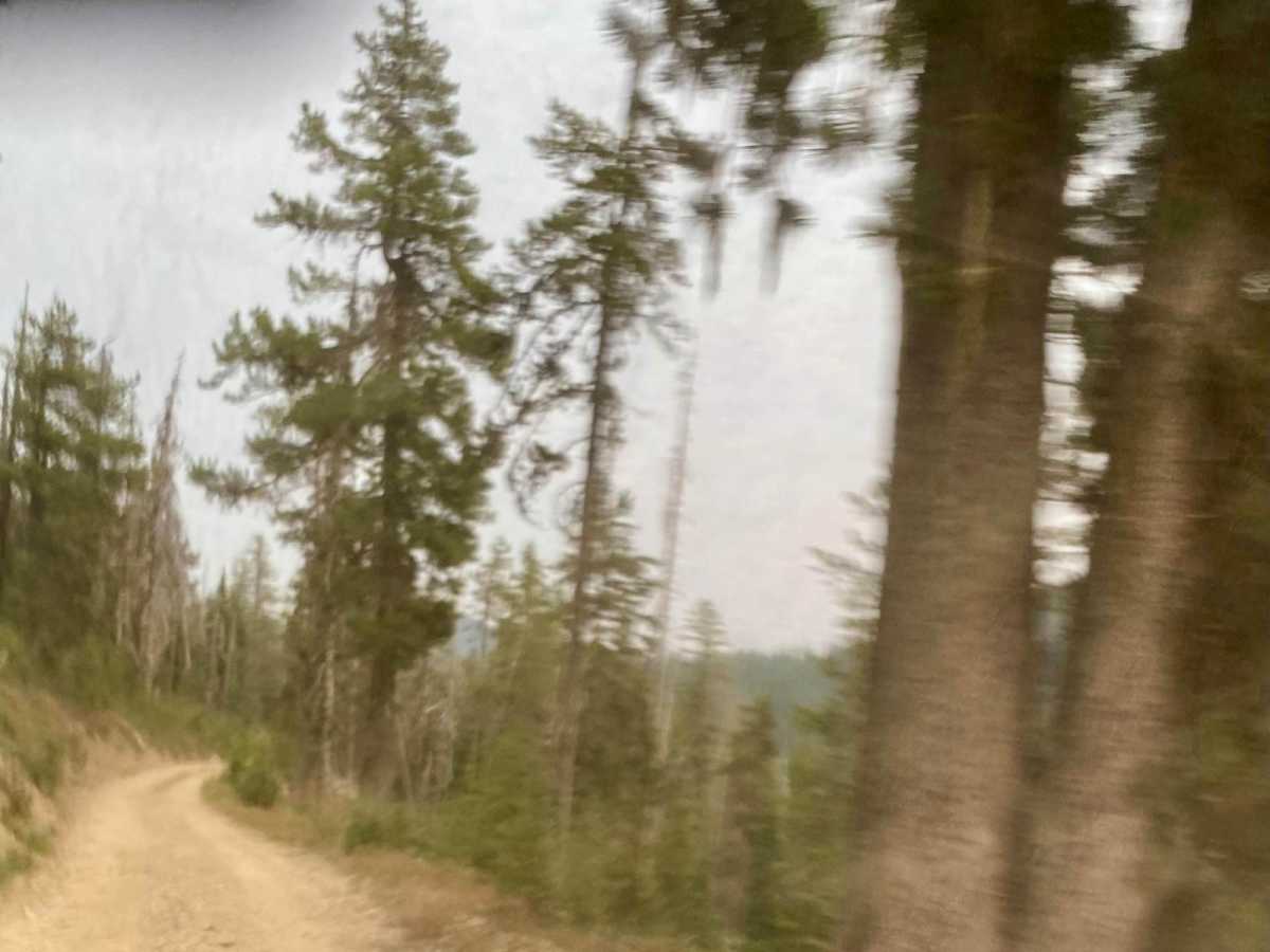 Dry Creek-Cliff Creek photo 4