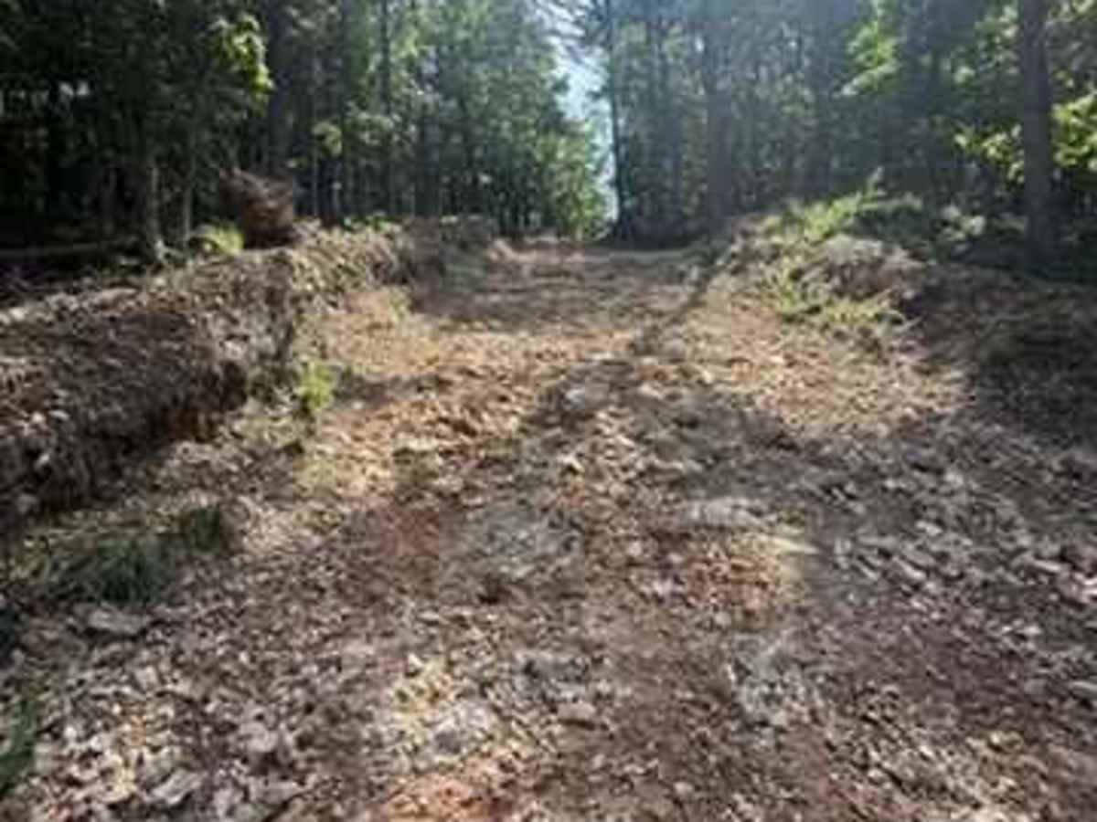 Dale's Trail photo 5