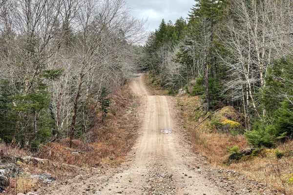 Hiking Trail Road