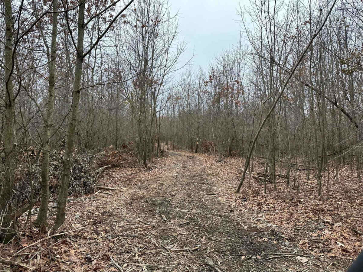 Darkwater 108 West photo 3