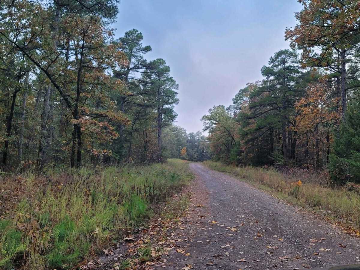 East Poteau Mountain photo 6