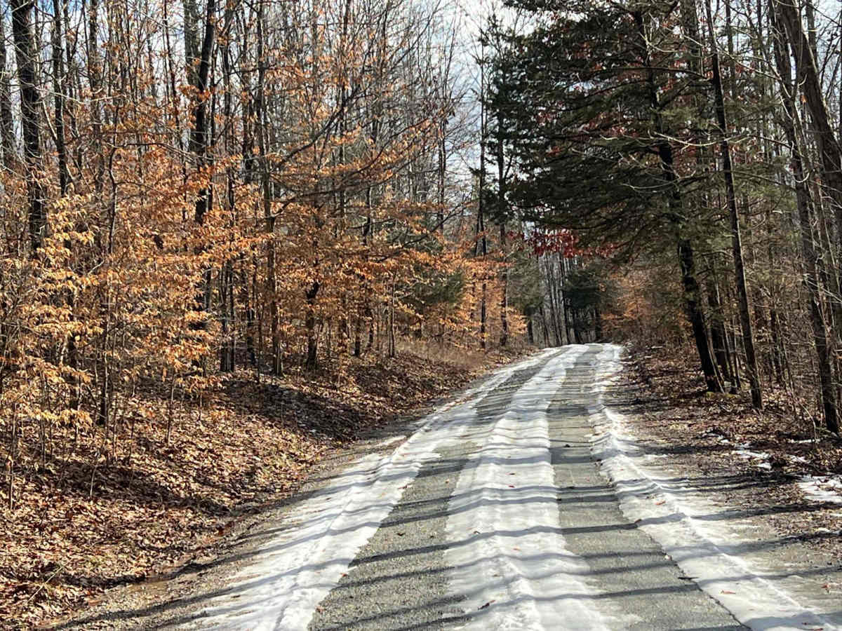 Tower Ridge Road photo 3