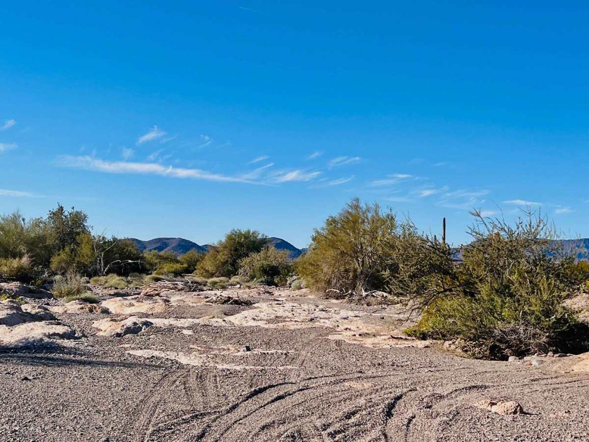 Upper Deadman Wash photo 2