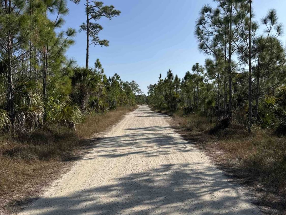 East Sabal Palm Road trail photo