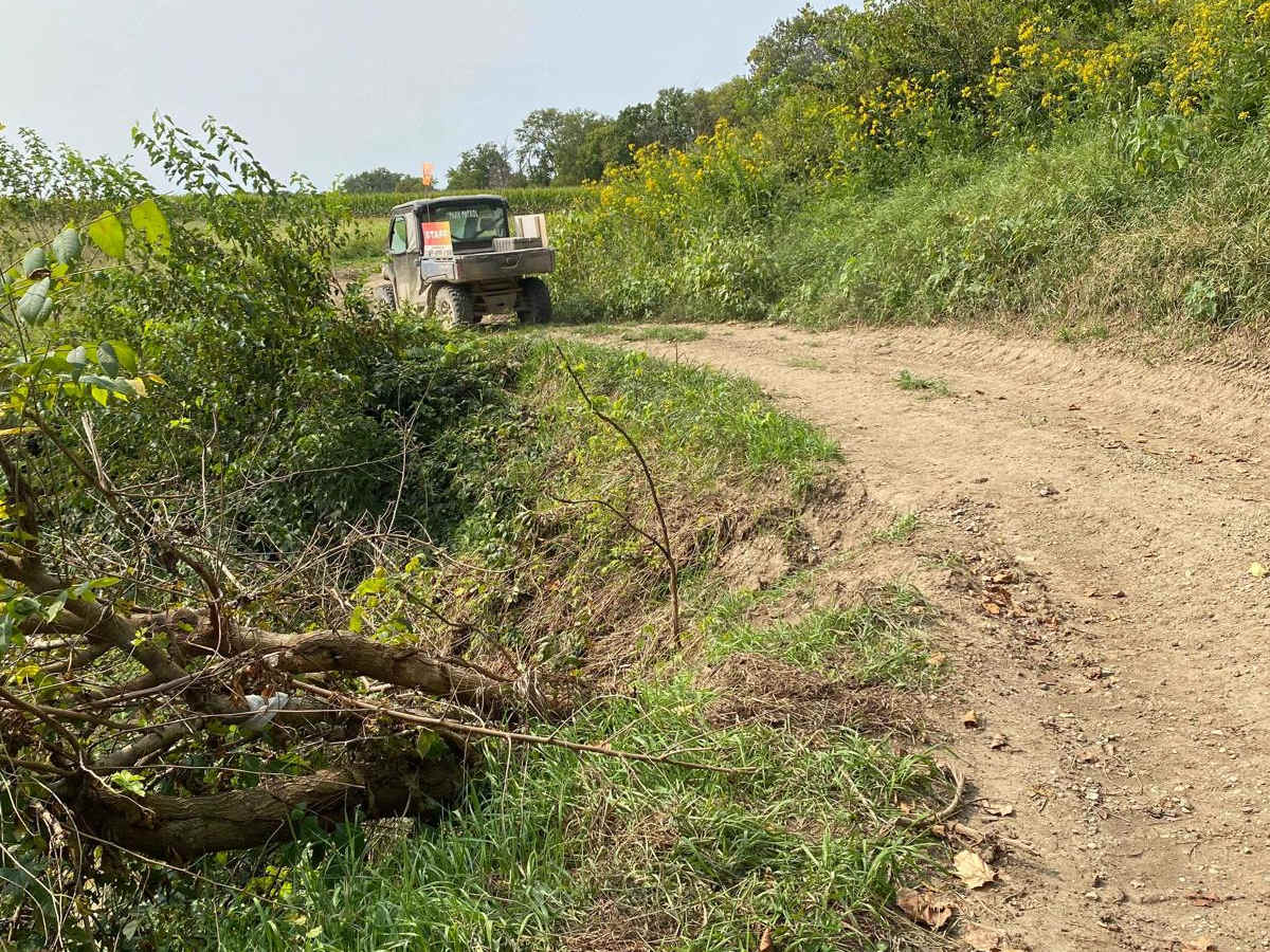 Turtle Trail photo 4