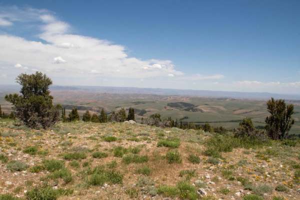Lambs Canyon 4x4
