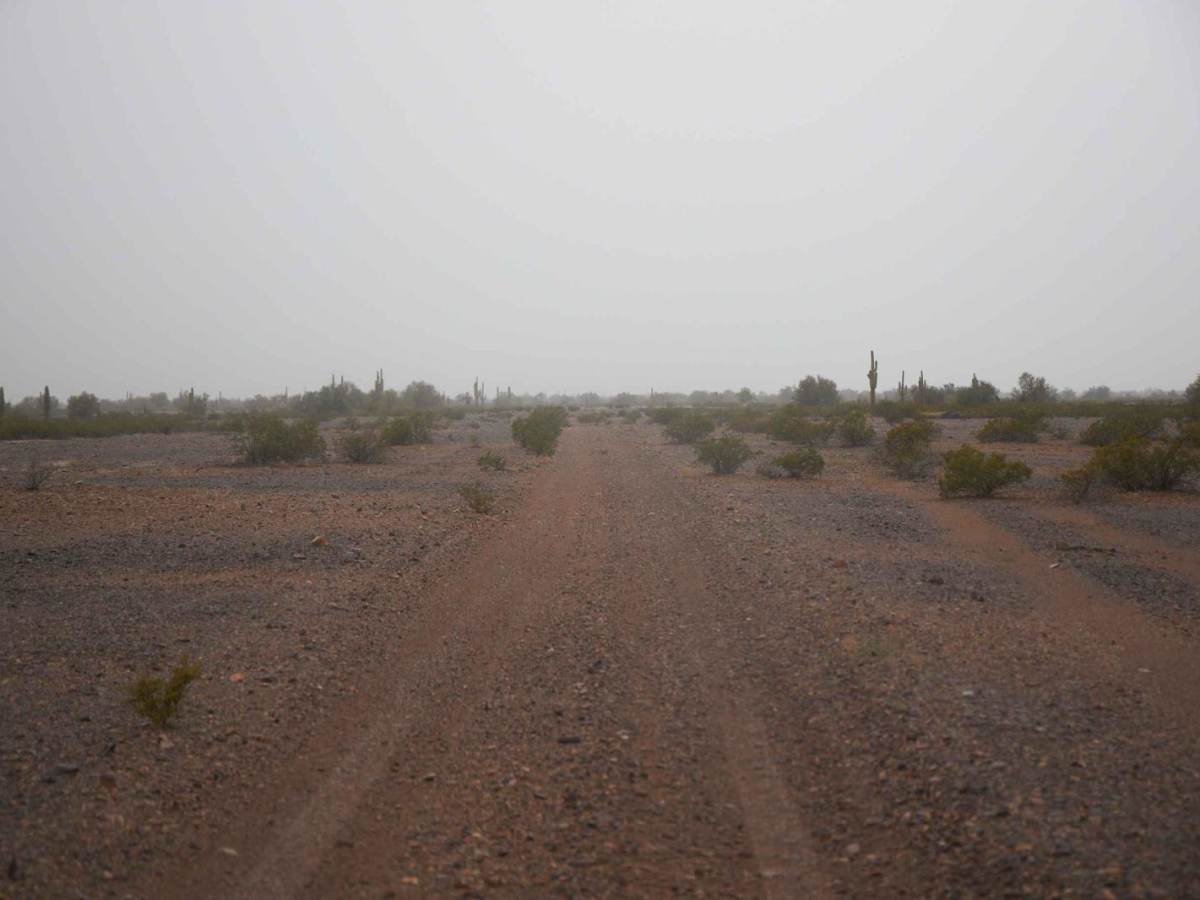 BLM AZ 065 photo 5