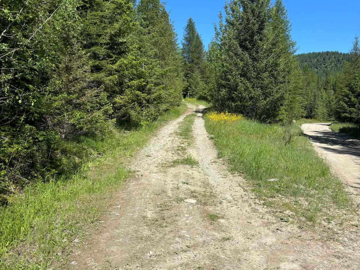 812 ATV Trail trail photo