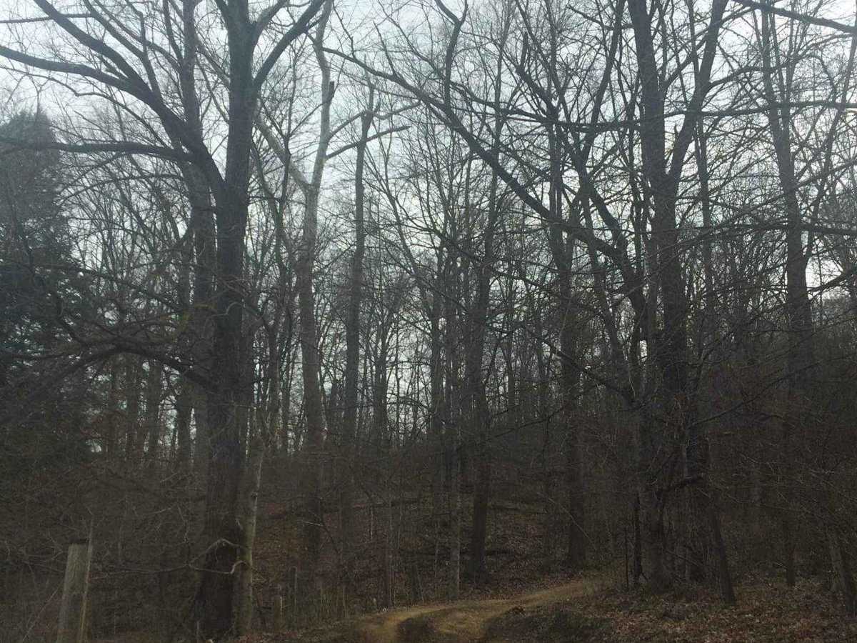 Wolf Cemetery photo 2