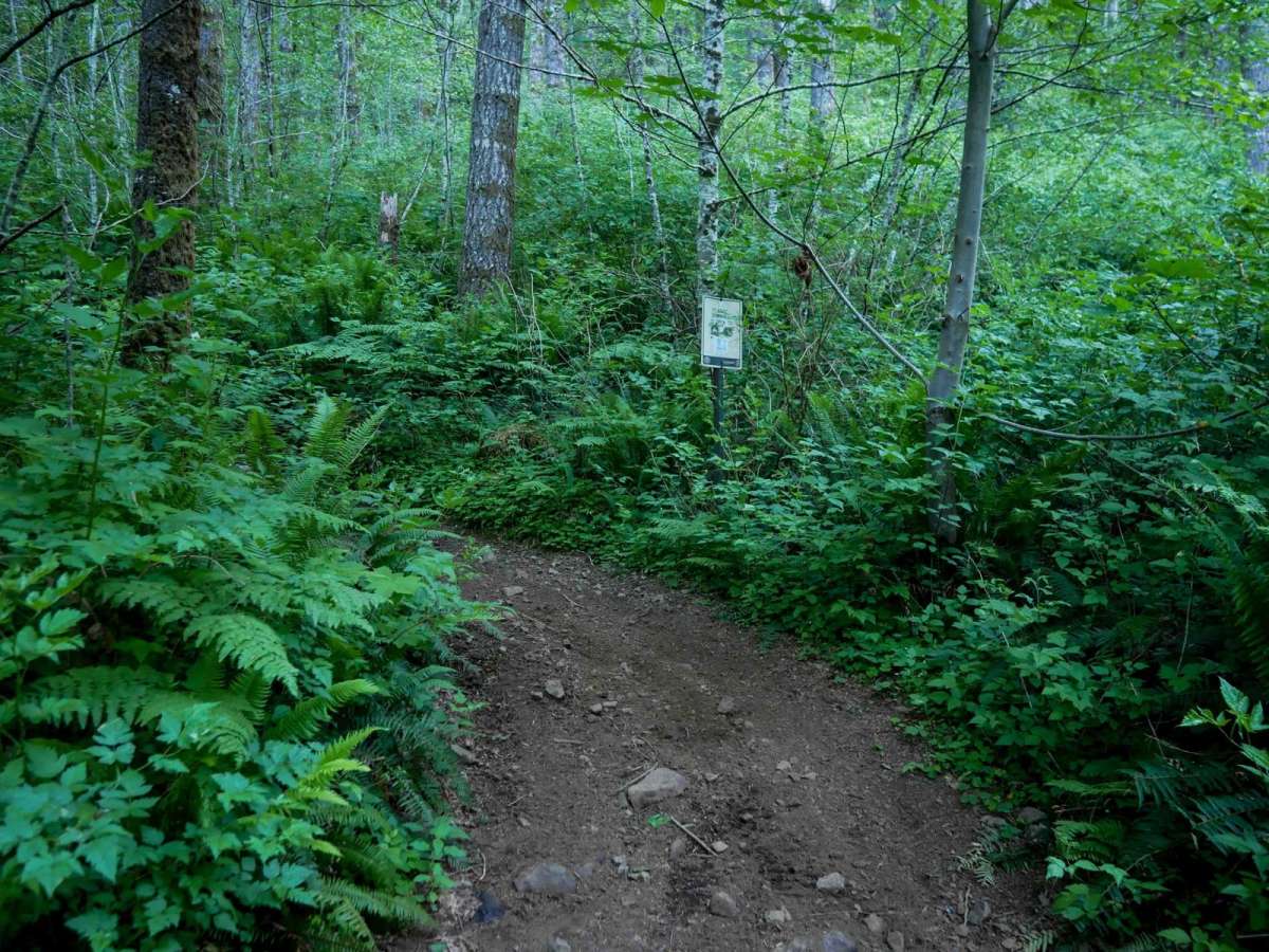 Plastic Downhill #110 photo 2