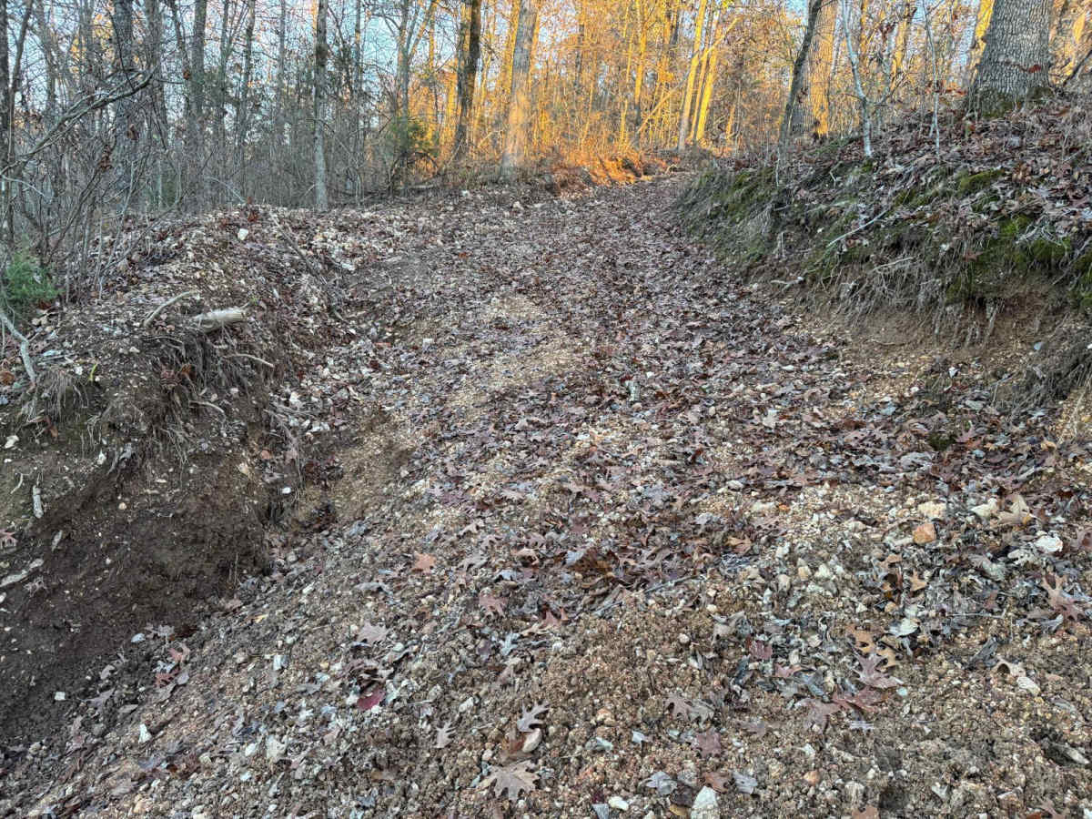 Red 157 trail photo