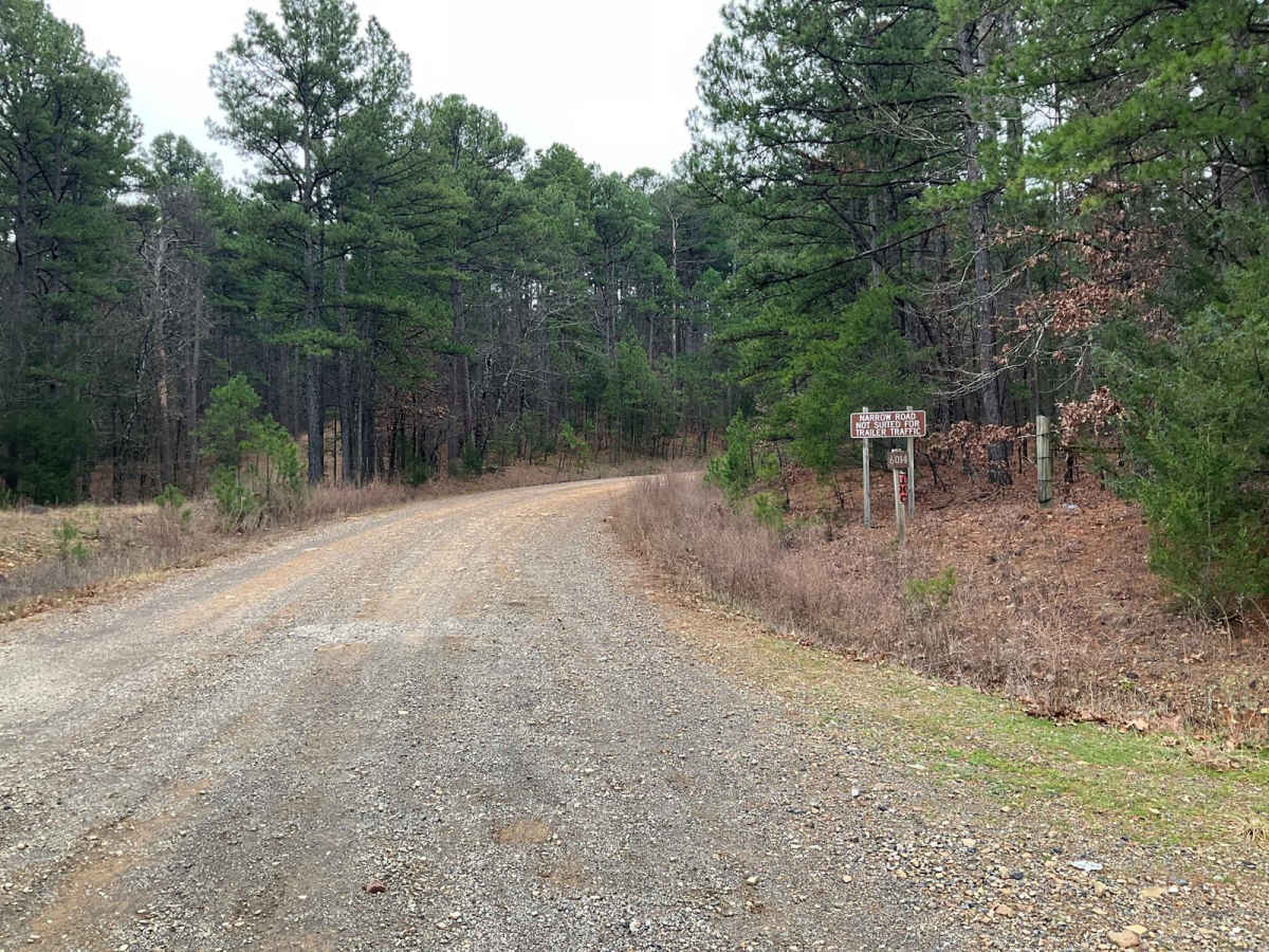 Tall Cedar Trail trail photo