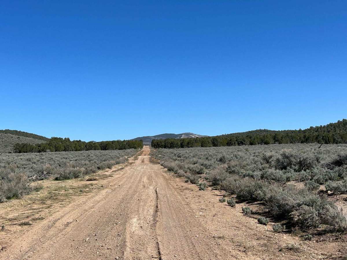North East Pass Road photo 4