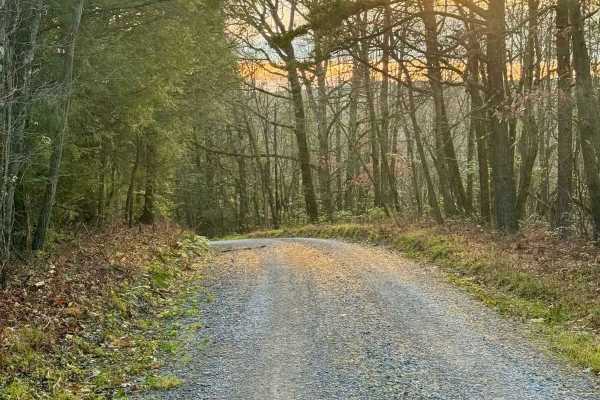 Middle Branch Road