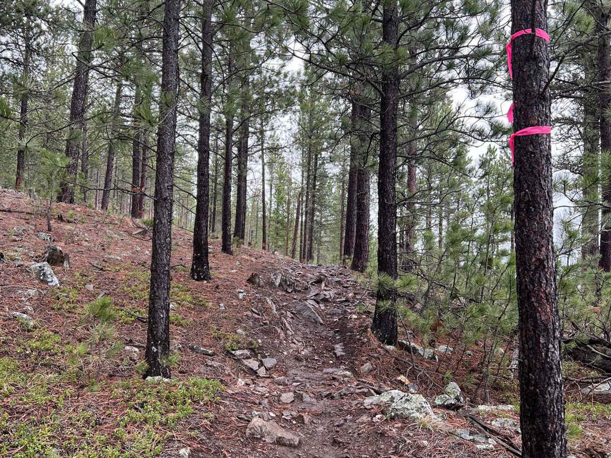 Merritt Peak SE Leg photo 5