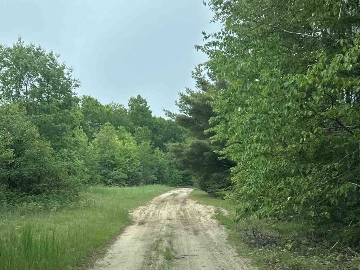 Trout Lake Spur photo 3