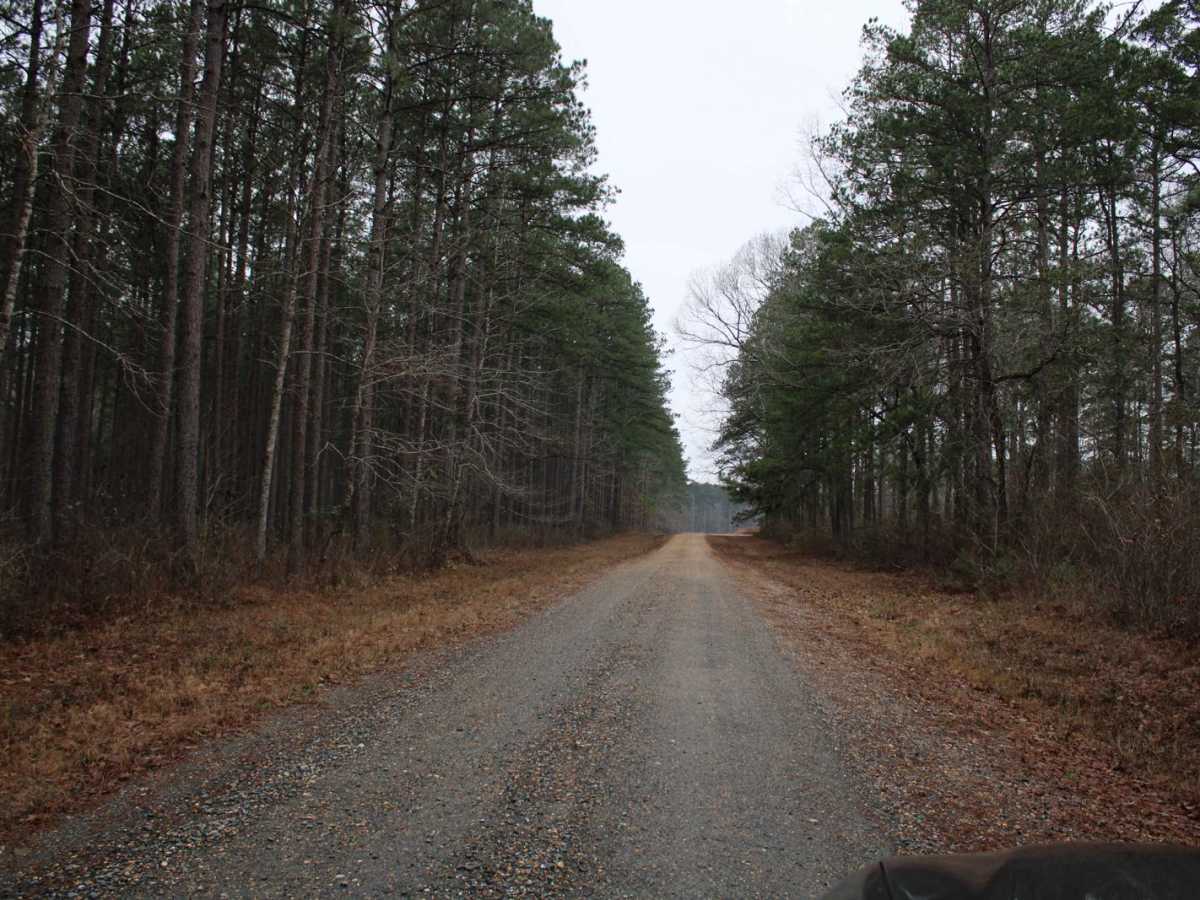 Dickerson Road (522) trail photo