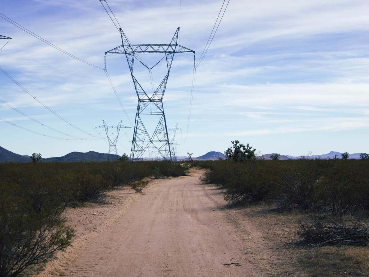 Electric Speedbump photo 4