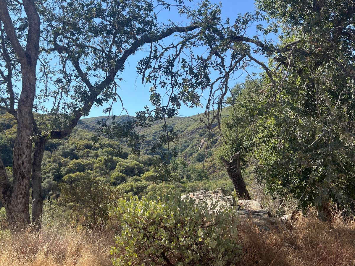 Hi Mountain Road trail photo