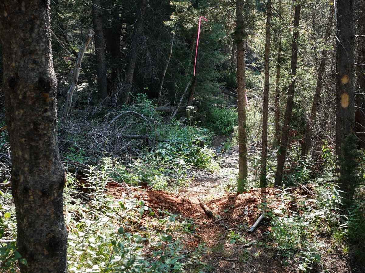 Eleven Mile - Martin Creek ATV photo 6