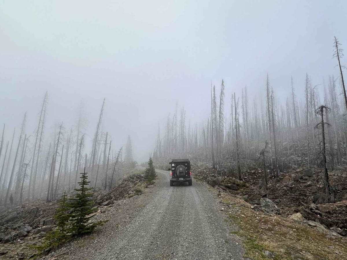Echo Lake Road - NF 7220 trail photo
