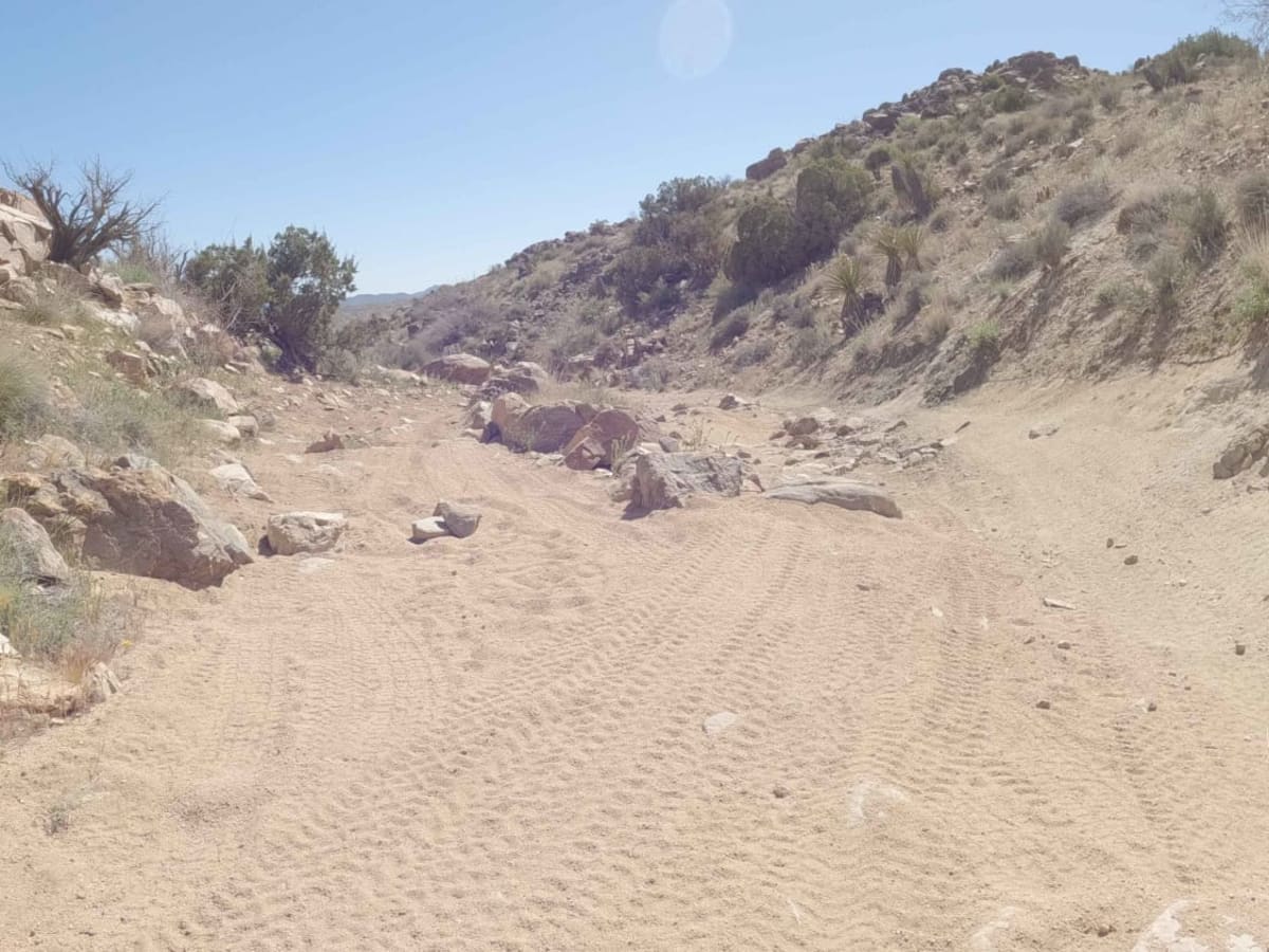 BLM C1418 trail photo